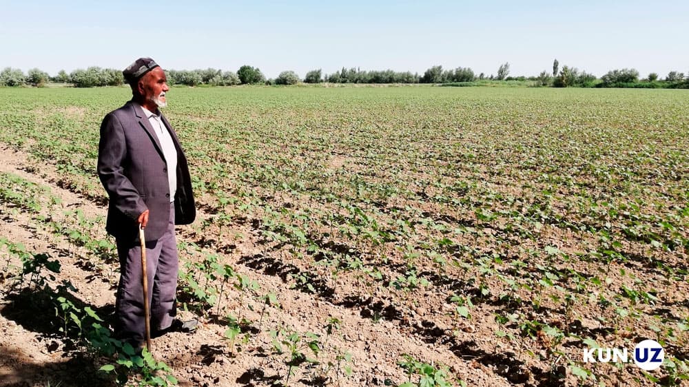 Tanqiddan so‘ng: hazorasplik 83 yoshli fermerning yerlari qaytarildi