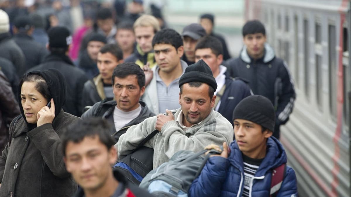 Mehnat muhojirining pensiyasi miqdori u to‘lagan ijtimoiy soliqqa bog‘liq bo‘lishi ma'lum qilindi