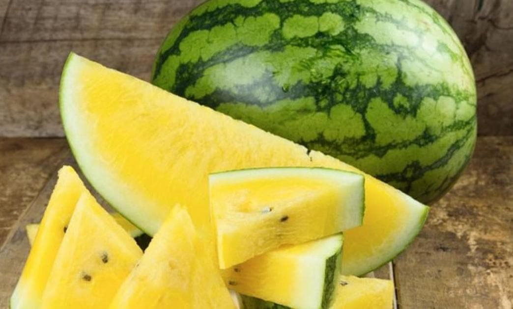 Qashqadaryoda yetishtirilgan sariq tarvuz xorijga eksport qilina boshlandi