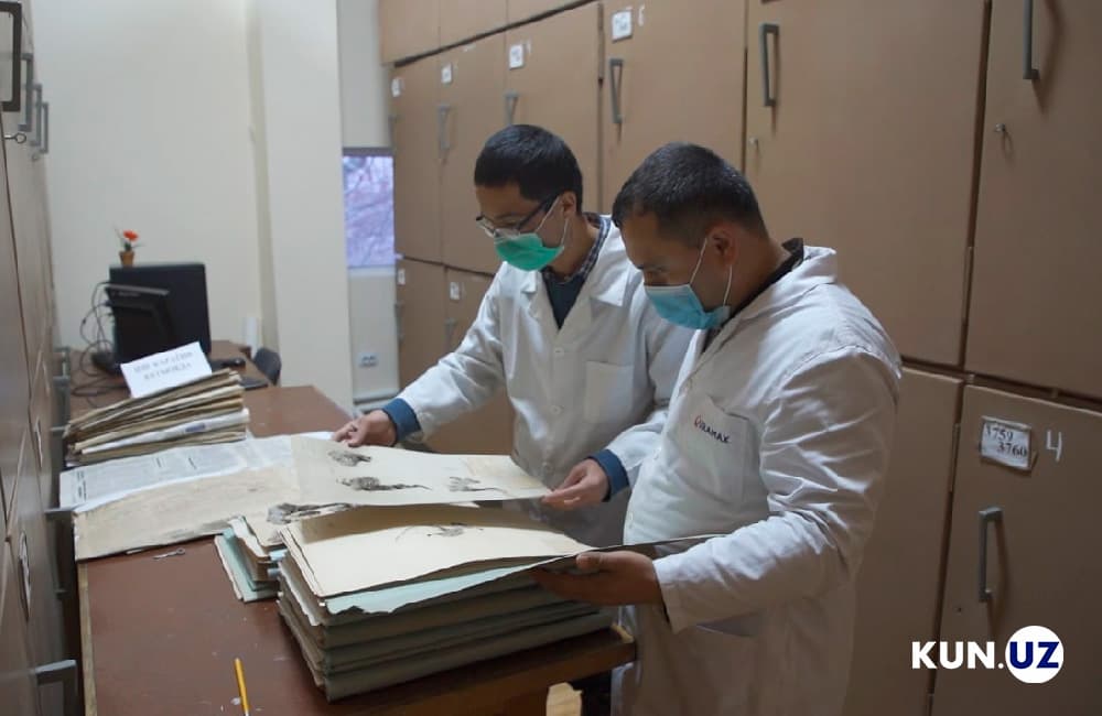 Mintaqadagi eng katta botanika laboratoriyasi – O‘zbekiston milliy gerbariysi haqida nimalarni bilasiz?