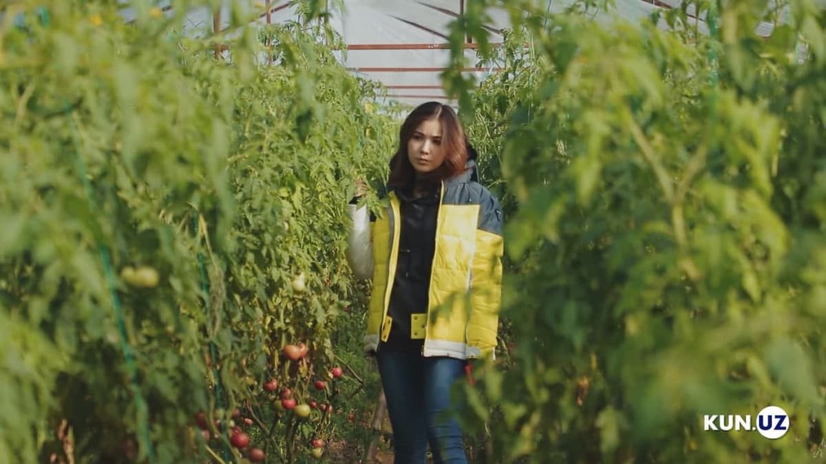 «Маблағсиз бизнес бошлаб бўлмайди, деганлар адашади» — экспортчи қиз ҳикояси