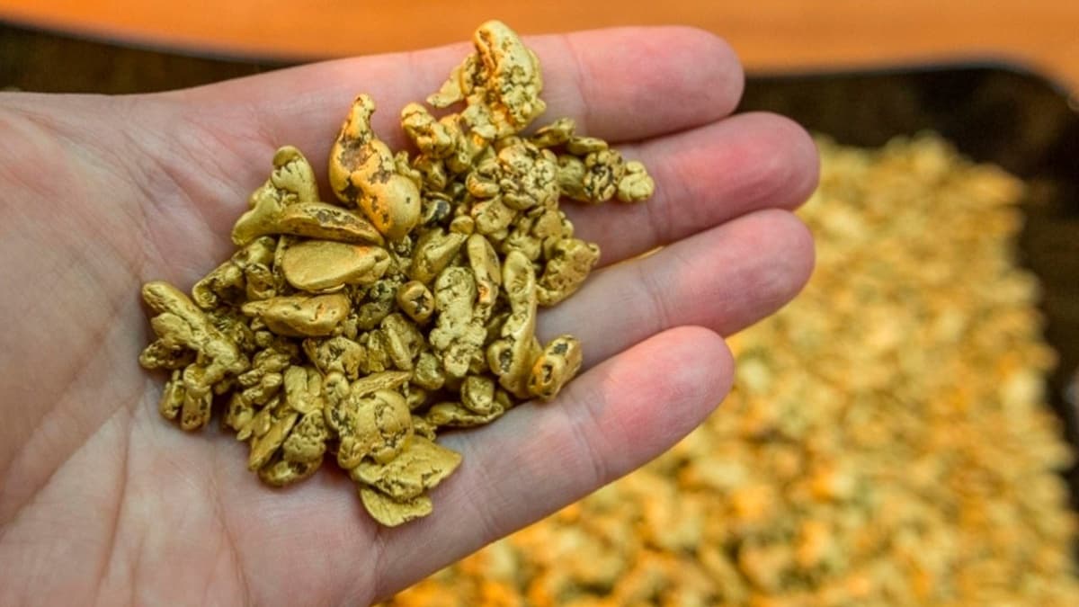 Navoiyda tarkibida tilla zarralari mavjud qumlarni qazib olgan ikki shaxsning janjali o‘lim bilan tugadi