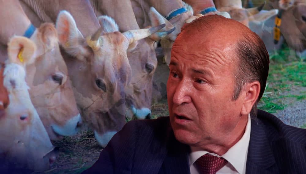 «Ish faqat qog‘ozda emas, amalda ham bo‘lishi kerak» - Professor chorvachilikda jiddiy inqiroz ro‘y berishidan ogohlantirdi