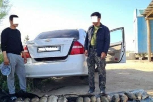 Noqonuniy baliq ovlaganlarga nisbatan jinoyat ishi qo‘zg‘atildi