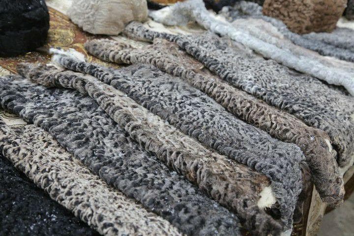 Qorako‘lchilikni rivojlantirishga 100 mlrd so‘m ajratildi