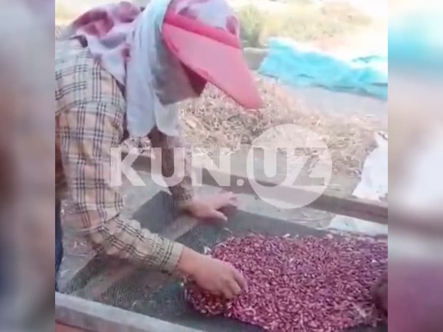 Uyida obodonlashtirish xodimlarini ishlatgan Bo‘ston tumani hokimi o‘rinbosari 13,5 mln so‘m jarimaga tortildi