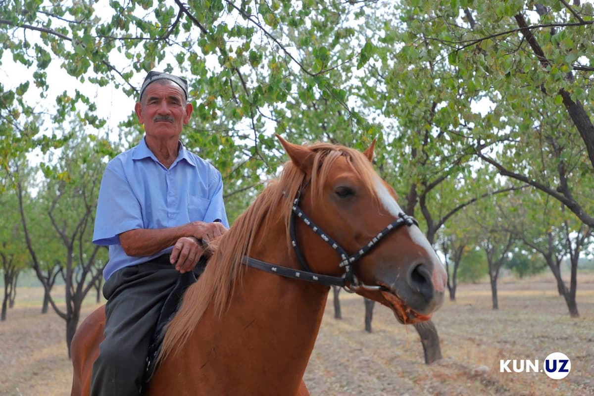 74 yoshli chavandoz: “Hayvonlar orasida eng mehriboni – ot”