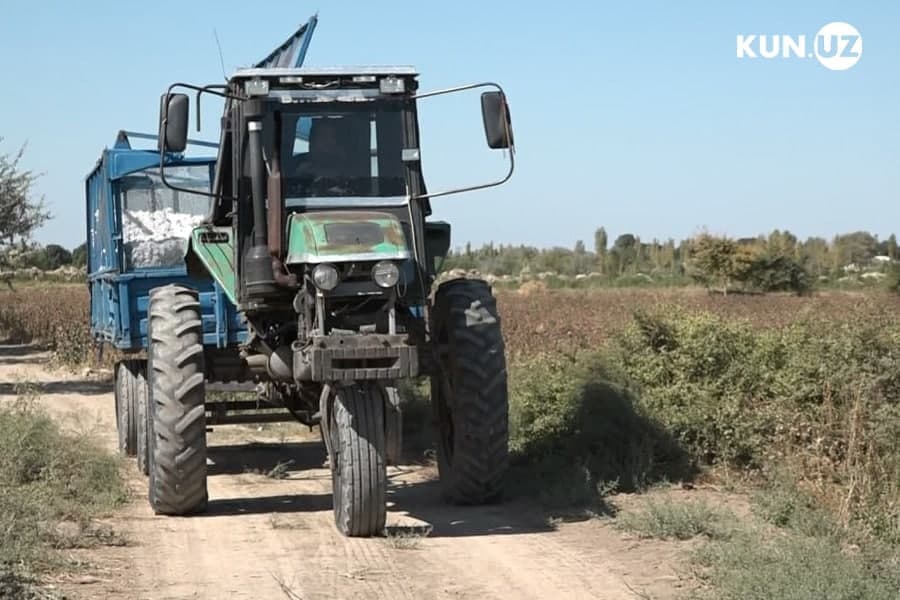 Traktorchi, tarozibon, oddiy dehqon: ota kasbini egallagan Qoraqalpog‘istonlik yosh fermer qiz