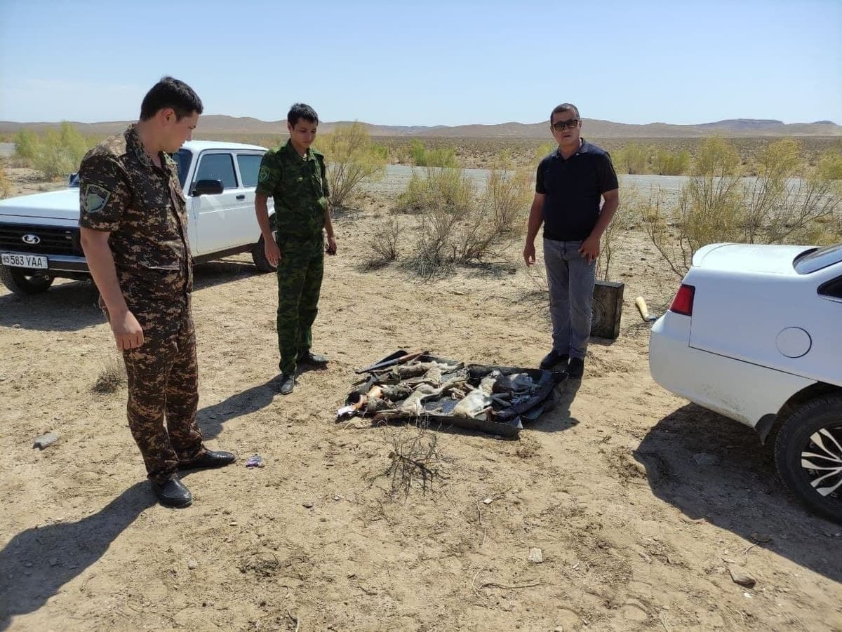 Navoiyda taqiqni buzgan ovchilar jarimaga tortildi