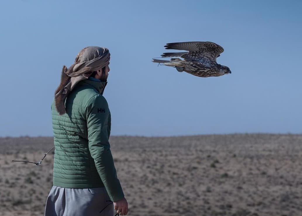 Dubay shahzodasi Navoiyda lochin bilan tuvaloq ovlagan videosini ulashdi