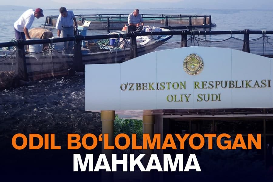 Oliy sudda singan umid. To‘dako‘l ishi arzimas sabab bilan quyiga uloqtirildi