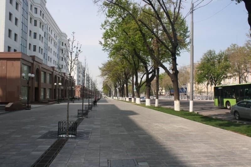 Alisher Navoiy shohko‘chasini rekonstruksiya qilish loyihasi ishlab chiqildi