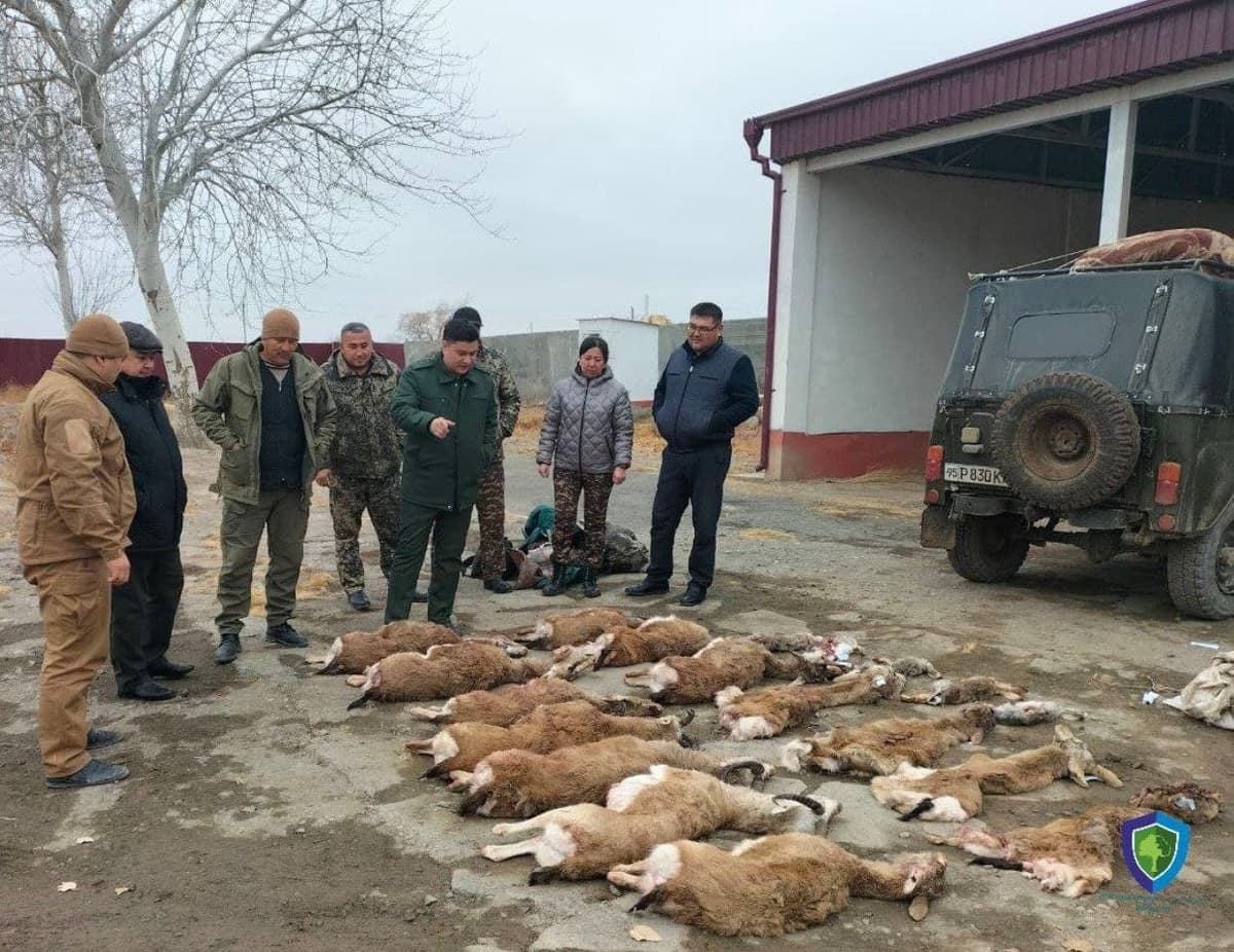 Qoraqalpog‘istonda “Qizil kitob”ga kiritilgan hayvonlarni ovlagan shaxslarga nisbatan jinoyat ishi qo‘zg‘atildi