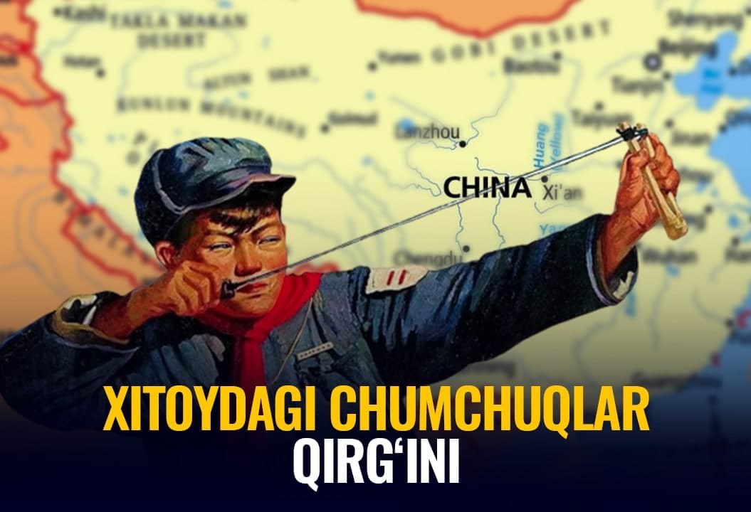 Chumchuqlarga o‘lim: Xitoyda qushlarga keltirilgan qiron uchun tabiat qanday o‘ch olgandi?