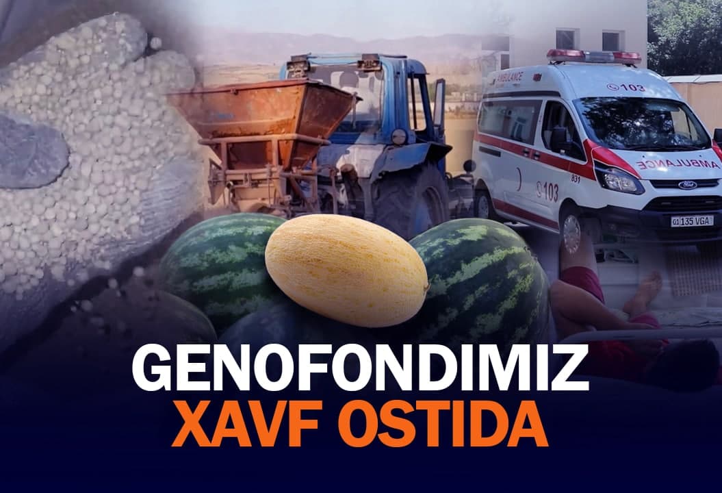 Xavf ostidagi genofond: o‘zbekistonliklarning poliz ekinlaridan zaharlanishini to‘xtatish kerak