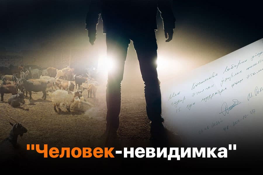 «Человек-невидимка» разоряет чабанов: РОВД занят «спуском на тормозах» поступающих обращений