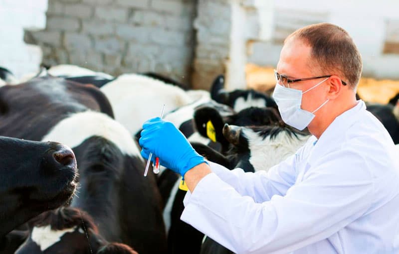 Veterinariya xizmati mutaxassislarining malakasi oshiriladi