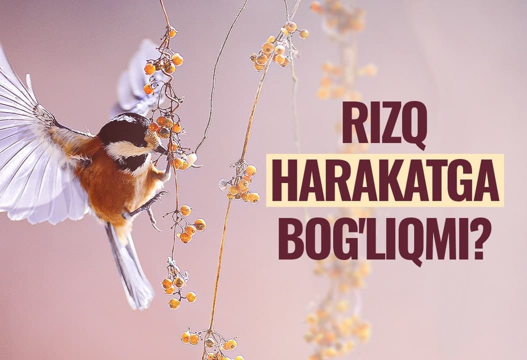 Insonning rizqi uning harakatiga bog‘liqmi? - Islom moliyasi bo‘yicha mutaxassis bilan suhbat