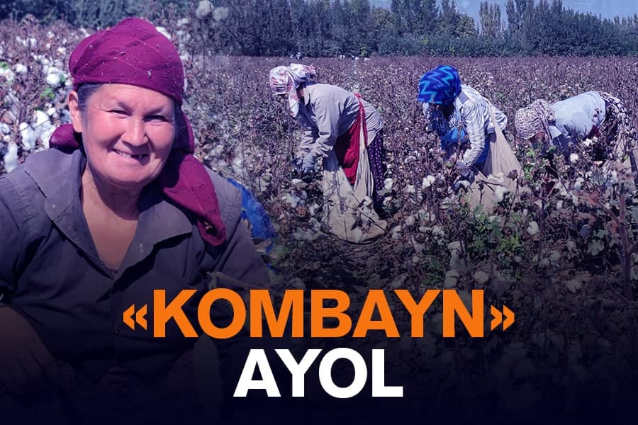 “Shu yoshga kirib bir marta “davleniya” o‘lchatmadim” – bir kunda 200 kg paxta terayotgan quvalik ayol