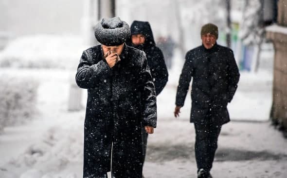 На смену свиному гриппу приходит грипп B
