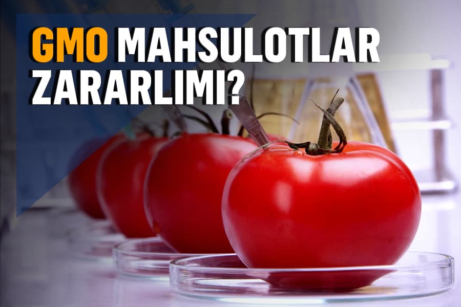 Genetik o‘zgartirilgan oziq-ovqatlardan nega qo‘rqamiz?