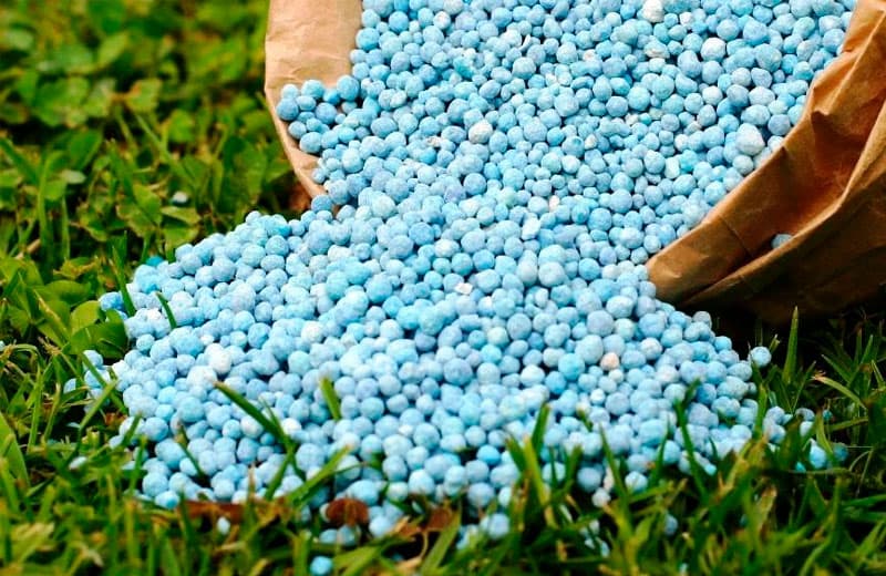 Indoneziya O‘zbekistondan o‘g‘itlarni import qilishga qiziqish bildirmoqda