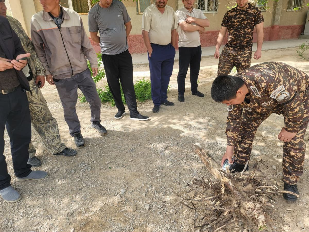 Zarafshonda 25 tup daraxt ruxsatsiz ko‘chirilgani aniqlandi