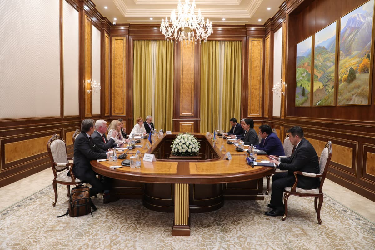Senat raisi Tanzila Norboyeva YeI vakillari bilan uchrashdi