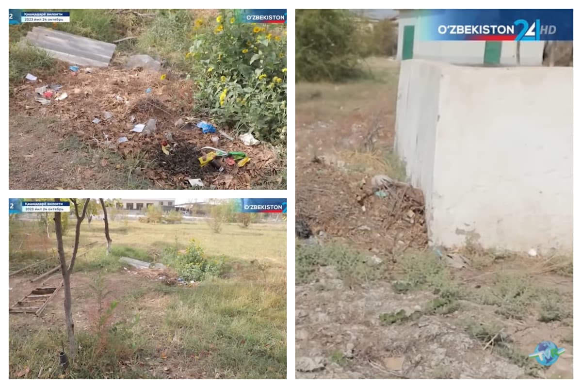 Davlat telekanalida o‘qituvchilar maktab hovlisini “gullatib” qo‘ymaganlikda ayblandi