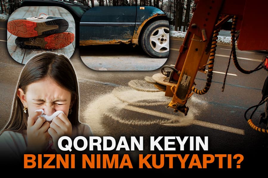 Ko‘chalarga muzlarni eritish uchun sepilayotgan qum-tuz qorishmasi nimasi bilan xavfli?