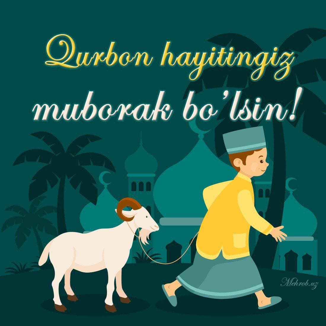 Fransiyada ikkita harbiy samolyot havoda to‘qnashib ketdi