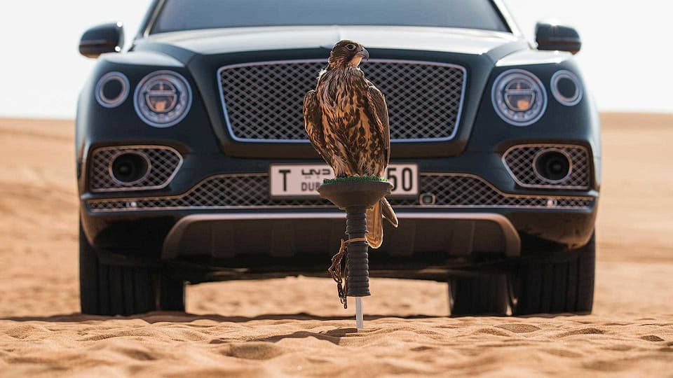 Bentley Bentayga mashinasi qush bilan ov qiluvchilarga moslashtirildi