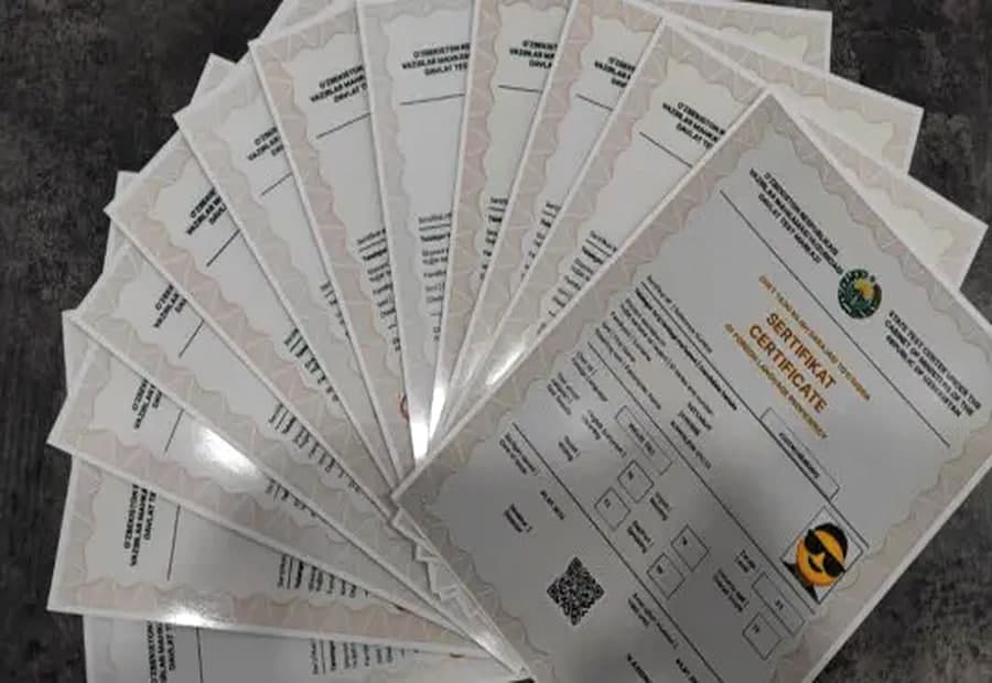 11 ta yangi chet tili milliy sertifikat tizimiga qo‘shiladi