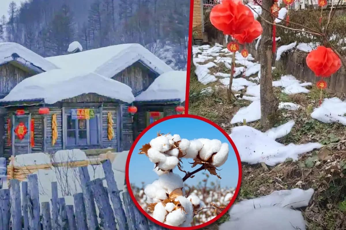 Xitoyda “qorli” kurort rahbariyati sayyohlarni yo‘qotmaslik uchun qorni soxtalashtirdi