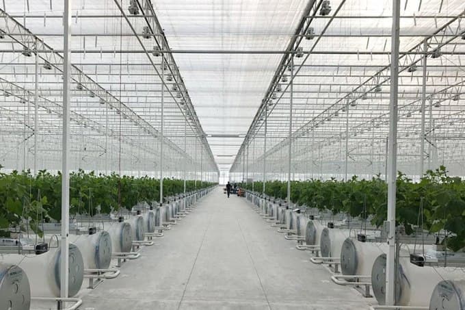 Over 100 greenhouses found to exceed atmospheric emission standards