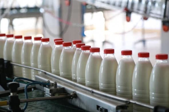 В Узбекистане планируется ввести маркировку на молочные продукты