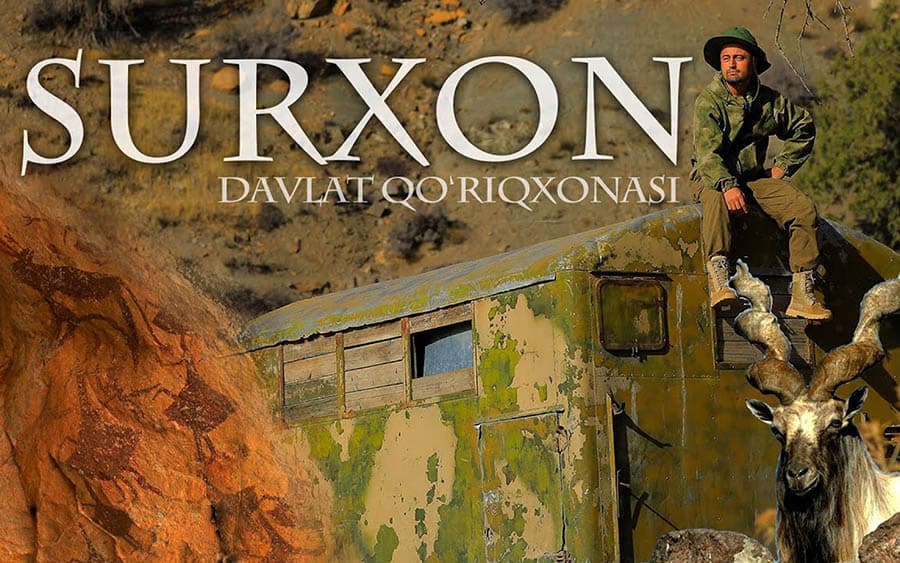 15 ming yillik tarixiy suratlar va morxo‘rlar – Surxon davlat qo‘riqxonasi | Manzil