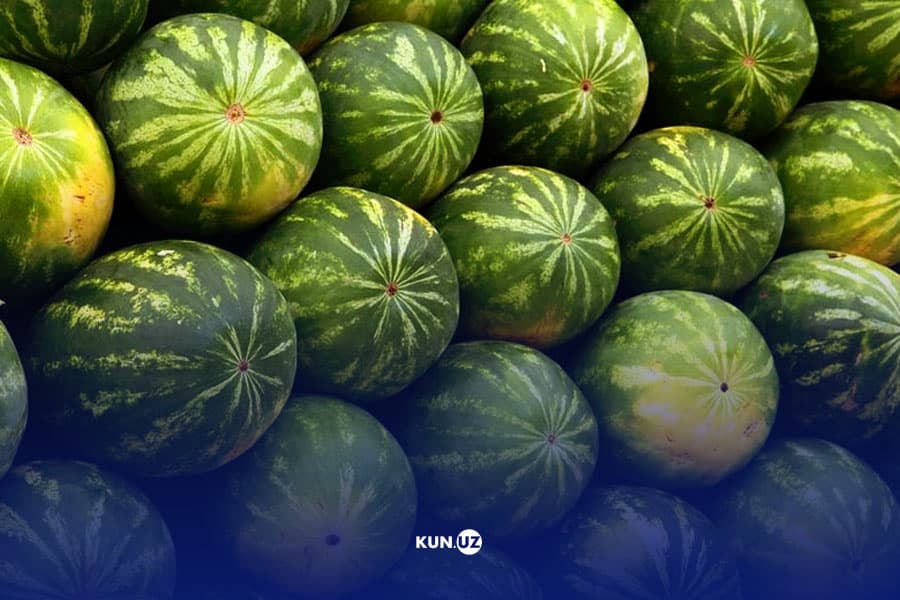 Tarvuz narxlari nega quladi?