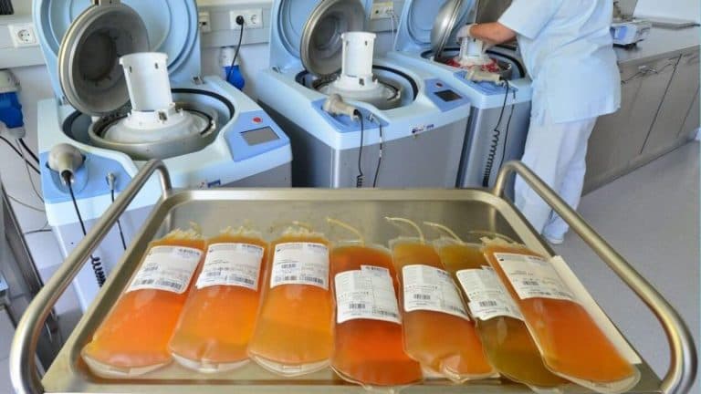 Donor qoni plazmasidan dori vositalarini ishlab chiqarish tartibi belgilandi