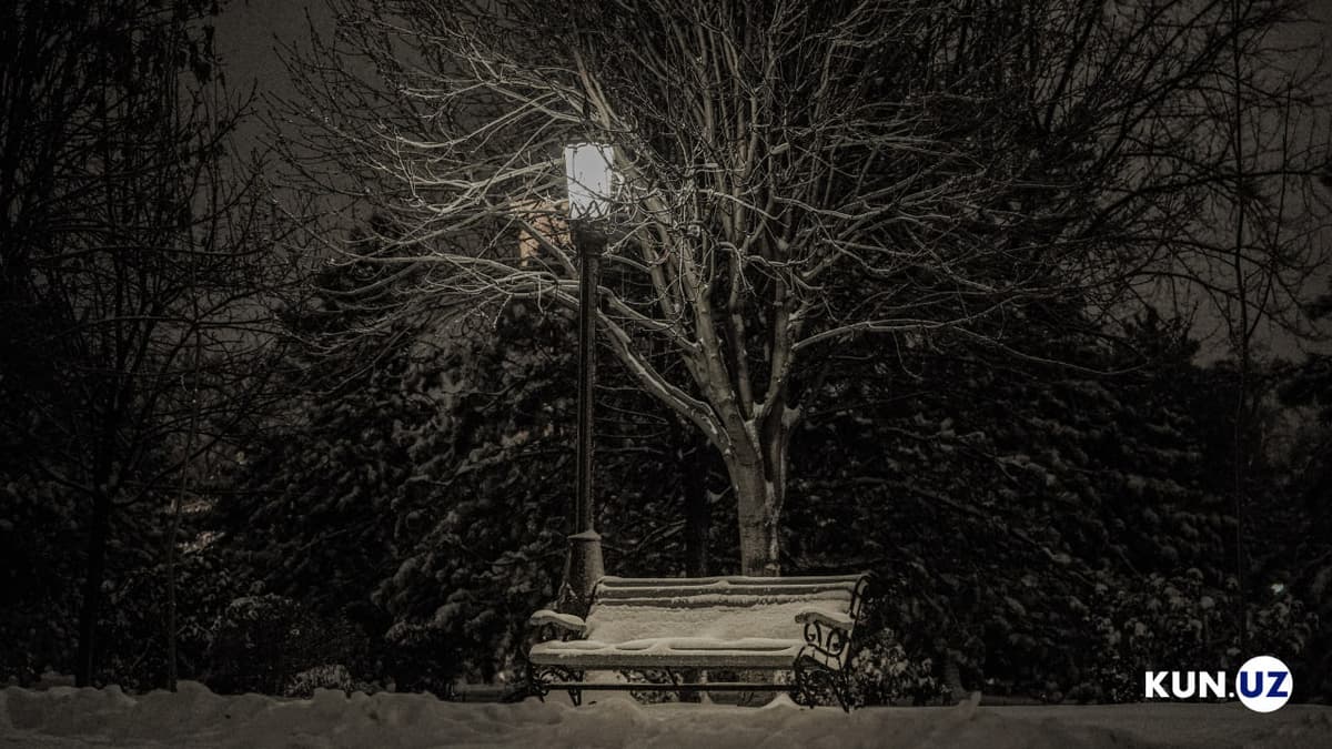 Toshkent – oppoq qish og‘ushida (fotojamlanma)