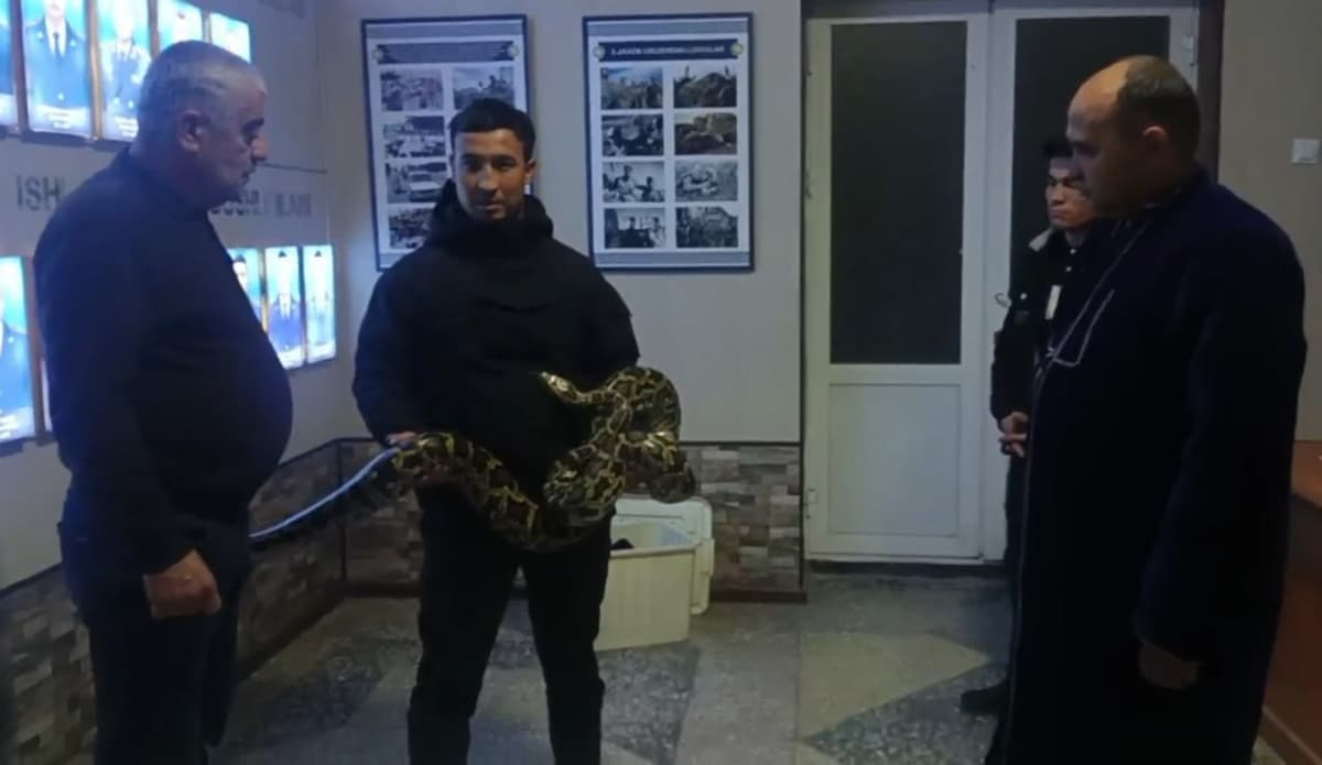 Ishtixonda uch metrlik bo‘g‘ma ilon uyda saqlanayotgani aniqlandi