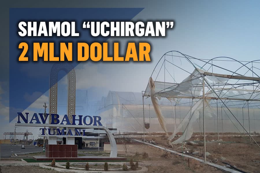 3 yilga bormagan issiqxonalar: Navoiyda 24 mlrd so‘mlik loyiha barbod bo‘ldi