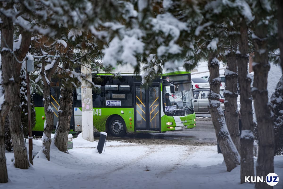 Foto: Toshkentda qish nafasi