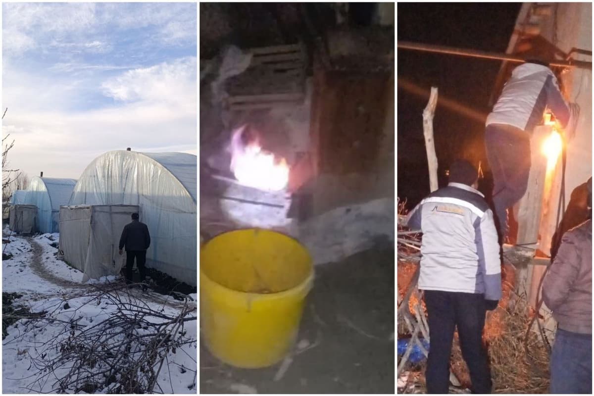 Toshkent viloyatida 486 mln so‘mlik gazdan noqonuniy foydalangan issiqxona aniqlandi