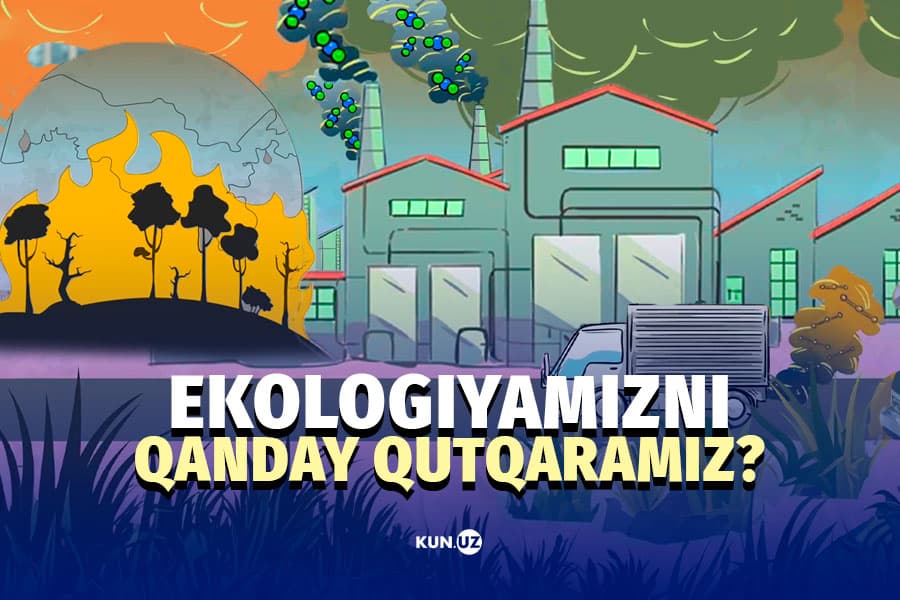 G‘animat toza havo: nima qilish kerak?
