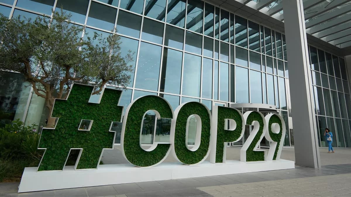 COP29'da CO2'ga sertifikatlarni sotish qoidalari kelishib olindi