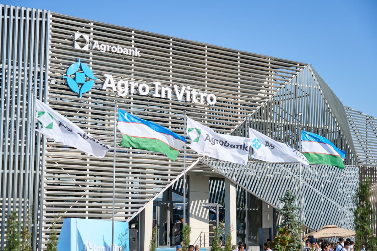 "Agro Invitro": Jizzaxda qishloq xo‘jaligi sohasida innovatsion loyiha ishga tushirildi