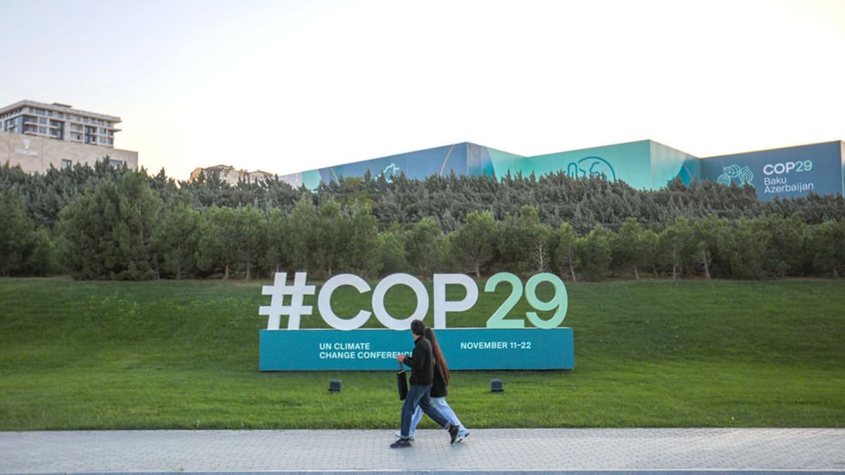 Bokudagi COP29: iqlim o‘zgarishiga moslashish xarajatlarini kim to‘laydi?