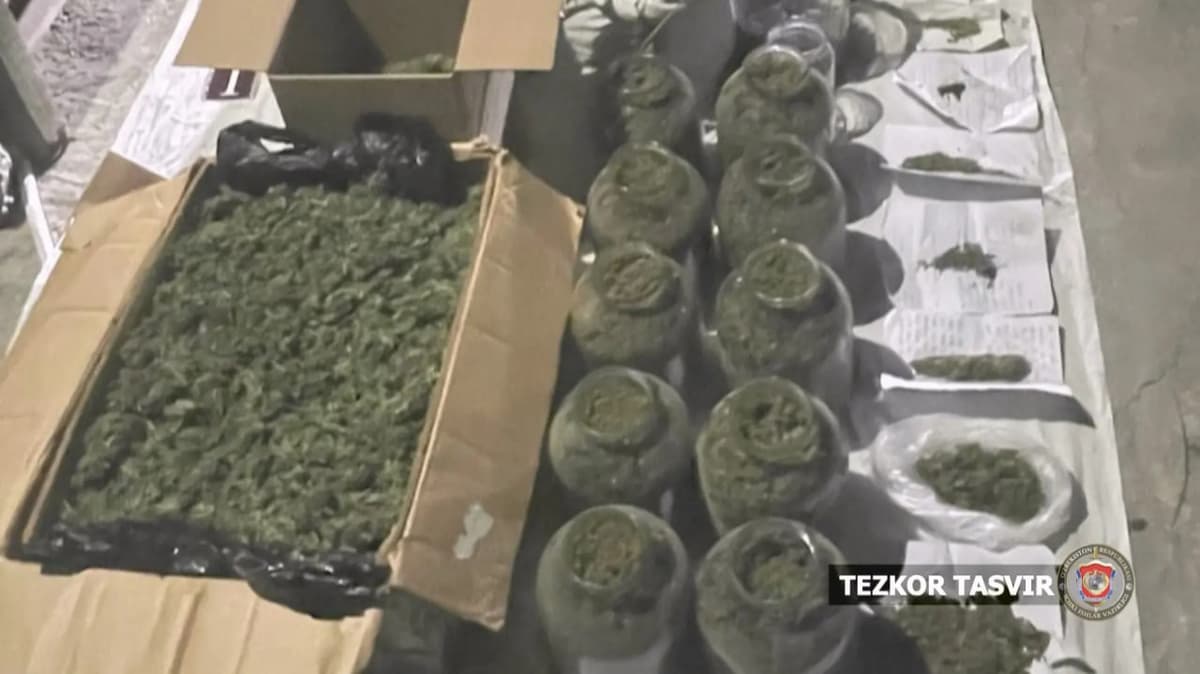 Toshkentda ikki hafta mobaynida qariyb 30 kg giyohvand vositalar va psixotrop moddalar ushlandi