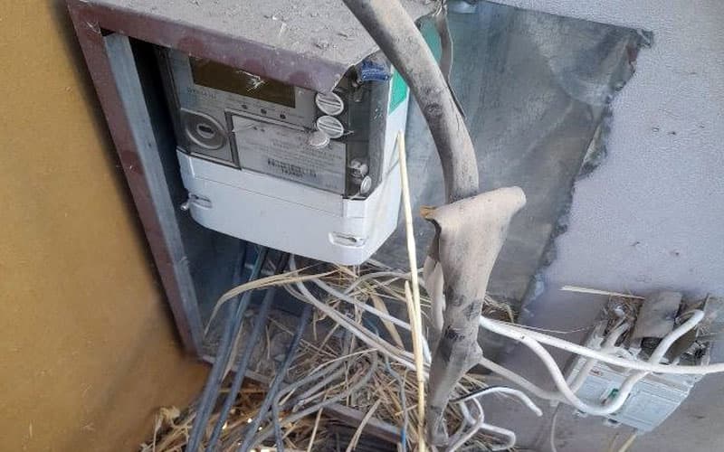 1,5 mlrd so‘mlik elektrdan noqonuniy foydalangan oshxona fosh etildi